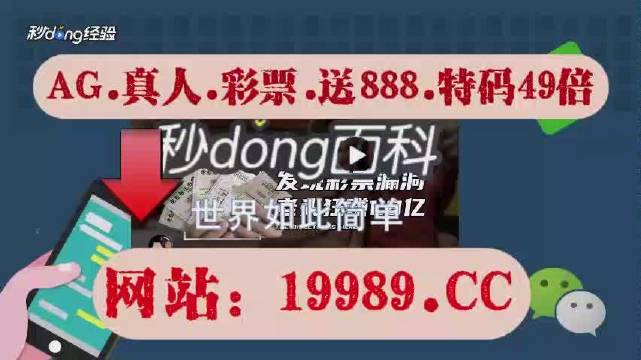 2024澳门天天开好彩大全杀码,量度解答解释落实_WP65.74